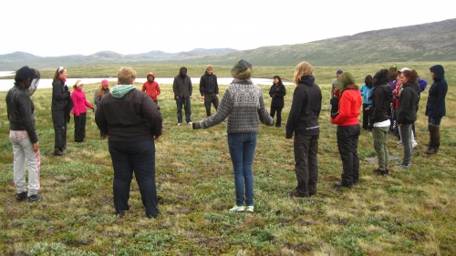 carbon cycle dance in greenland