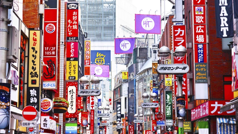 Goldstein Internship in Japan