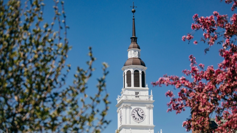 Spring flowers at Dartmouth